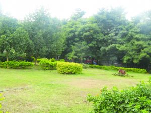 IMG_1182web