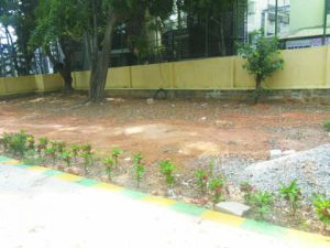 IMG-20150425 city kemp 4