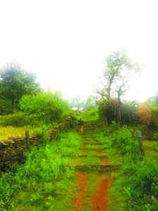 Yelagiri.trekking route n...