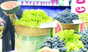 Grapes city kemp
