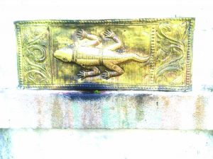 Auspicious to touch the lizard.