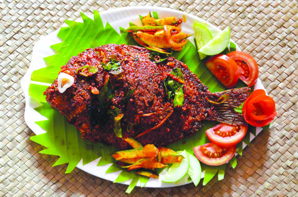 Karimeen city kemp